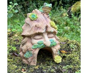 Animal Crackers Frog Toad House, face in old tree stump design with frog decoration, provides shelter to frogs and other wildlife, a great novelty frog or wildlife lover gift