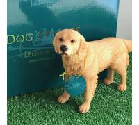 LEONARDO Golden Retriever figurine decoration, realistic ornament from the Dog studies range, in quality gift box