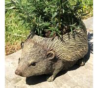 Animal Crackers Hedgehog Shaped Planter, Great For Herbs, Alpines Or Succulents, Novelty House Or Garden Decoration, Quirky Hog Lover Gift
