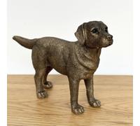 Animal Crackers Labrador Dog figurine, Leonardo Reflections Bronzed, Gift Boxed in Bronze Animal Crackers Bronze