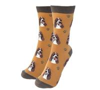 Animal Crackers Ladies Socks in a range of cute Dog Breed designs, lovely vibrant colours, soft combed cotton, one size