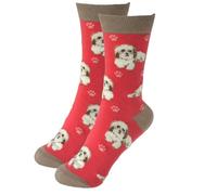 Animal Crackers Ladies Socks in a range of cute Dog Breed designs, lovely vibrant colours, soft combed cotton, one size