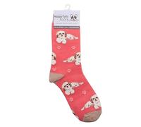 Animal Crackers Ladies Socks (Shih Tzu)