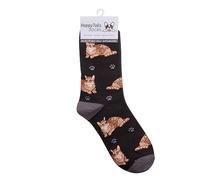 Animal Crackers Ladies Socks (Tabby Cat)