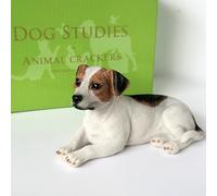 Animal Crackers Laying Jack Russell Terrier Dog figurine from the Dog Studies collection, in a quality gift box