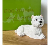Animal Crackers Laying West Highland Terrier Dog figurine from the Dog Studies Collection, 13cm, gift boxed
