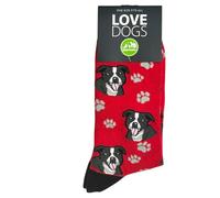 Animal Crackers 'Love Dogs' STAFFORDSHIRE BULL TERRIER Dog Breed Socks, plush 80% cotton fabric, Men's or Women's sizes (UK, Alpha, One Size, Regular, Regular, Men's, Red)