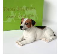 Animal Crackers Realistic Laying Jack Russell Dog Figurine, Gift Boxed