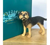Animal Crackers Realistic standing Border Terrier Dog figurine from the Dog Studies range, in coloured gift box, great dog lover collectible gift