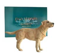 Animal Crackers Realistic standing Golden Labrador Dog figurine from the Dog Studies range, in coloured gift box, great dog lover collectible gift