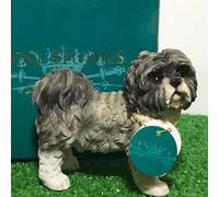 Animal Crackers Realistic standing Grey Shih Tzu Dog figurines from the Dog Studies range, in coloured gift box, great dog lover collectible gift