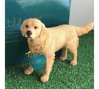 Animal Crackers Realistic standing Retriever Dog figurines from the Dog Studies range, gift boxed, great dog lover collectible gift. Length 20cm.