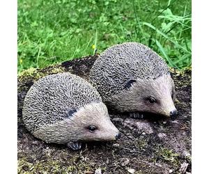Animal Crackers Set Of 2 Hedgehogs Home Or Garden Decorations