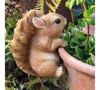 Animal Crackers Squirrel 'pot Pals' Pot Hanger Novelty Home Or Garden Decoration