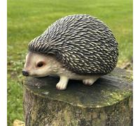 Animal Crackers Super Cute Hedgehog Figurine Home Or Garden Decoration, Length 19Cm, Gift Boxed