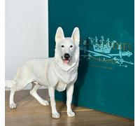 Animal Crackers White German Shepherd Figurine From The Leonardo Dog Studies Range, Gift Boxed.