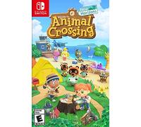 Nintendo NSW-0113 video game Standard English Nintendo Switch