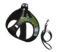 Animal Cute Brown Otters Print Dog Harness,Pet Leash Vest,Adjustable And Reflective Vest,For Small To Medium Dogs