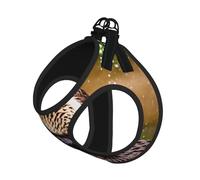 Animal Cute Brown Otters Print Dog Harness,Pet Leash Vest,Adjustable And Reflective Vest,For Small To Medium Dogs