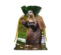 Animal Cute Brown Otters Print Drawstring Gift Bags,For Holiday Season,Birthdays,Anniversaries And Any Special Occasion