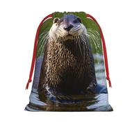Animal Cute Brown Otters Print Gift Drawstring Bag Reusable Pouch Party Favors Birthdays Weddings Daily Sack