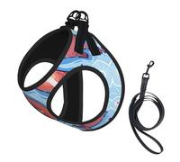 Animal Cute Brown Otters Printing Dog Summer Harness With Leash Set,Adjustable And Reflective Step-In Puppy Pet Vest Harnesses
