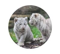 Animal Cute Tiger Cubs Exploring Their Surroundings Vintage Metal Tin Sign Plaque Wall Decor for Cafe, Club Bar, Office, Garden Metal Poster 8x8Inch