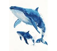 Animal Diamond Art Kits Adults,5D Killer Whale Diamond Painting Kits for Adults Beginners Pictures, Round Full Drill Crystal Gem Art Mosaic Kit DIY Cross Stitch Arts Crafts Decoration 20x30cm A62S-520