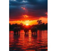 Animal Diamond Art Kits Adults, Diamond Painting Elephant Crystal Art Kits for Kids Beginners, 5D Full Drill Round Gem Dots Embroidery Paintings Crafts Picture, Hobbies for Adults Women 60x80cm 8a-66A