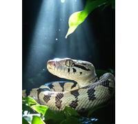 Animal Diamond Art Kits Adults, Diamond Painting Snake Crystal Art Kits for Kids Beginners, 5D Full Drill Square Gem Dots Embroidery Paintings Crafts Picture, Hobbies for Adults Women 60x80cm 8a-185