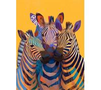 Animal Diamond Art Kits Adults Small Diamond Painting 30x39 inch, Full Drill Crystal Art Kits for Kids Rhinestone Embroidery Cross Stitch Canvas Painting Zebra Mosaic Craft Pictures for Decor z407-t