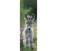Animal Diamond Art Painting Donkey 5D Diamond Painting Kits for Adults,20x40cm Large Diamond Painting Kit, DIY Diamond Art Accessories Crystal Art Rhinestone Cross Stitch for Wall Decor, Women Gifts