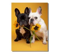Animal Diamond Painting Set for Adults and Children, Dog DIY Full Drill 5D Diamond Art Painting, Crystal Art Embroidery Cross Stitch Crafts, Suitable for Home Wall Decoration 16 x 20inch BJHF987