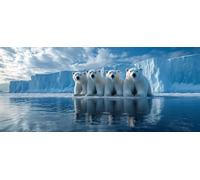 Animal Diamond Pinting Polar Bear Diamond Art Kits Adults, Crystal Gem Art 5D DIY Round Full Drill Crystal Rhinestone Embroidery Cross Stitch Hobbies for Adults Women, Home Decor 100x300cm -hjw26046L