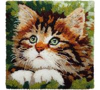 Animal DIY Latch Hook Kits,A Cute Tabby cat,3D Pillow Latch Hook Embroidery Kits Cross Stitch Sofa Cushion Cover for Kids and Adults,17x17in