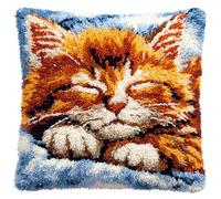 Animal DIY Latch Hook Kits for Beginners,A Cute Tabby cat,Latch Cross Stitch Sofa Cushion,Includes Cushion Kits and Yarn Set for Crochet,17x17in