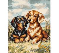 Animal Dog Cross-Stitch Counted Kits 11CT,Two Dachshunds,Preprinted Fabric Cross Stitch DIY Art Needlecrafts Embroidery Kits for Adults Beginners,40x50cm