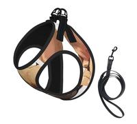 Animal Dog French Bulldog Print Dog Harness Adjustable Walk Puppy Harnesses Leash Clips Pet Harnesses Training Pet Vest