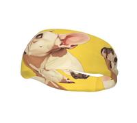 Animal Dog French Bulldog Print Multi-Functional Sport Wicking Absorbing Head Band Unisex Hairband Workout Headbands
