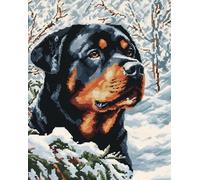 Animal Dog Needlepoint Counted Cross Stitch Kits for Beginners Adults,Rottweiler Snow Scene,Stamped Cross Stitch Kits,11CT Counted Cross Stitch Kits Arts Craft Kits,16x20inch