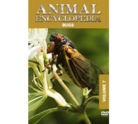 Animal Encyclopedia: Volume 7 - Bugs [DVD]