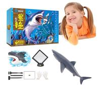 Animal Excavation Kit, Fish Excavation Kit, Excavation Kit for Boys, Archaeological Excavation Kit, Excavation Science Kit for Teenagers, Discover Prehistoric Marine Life