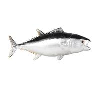 Animal Fish Model Desktop Home Ornament Realistic Artificial Hand Paint Adult Collection Craft Fish Tank Toy Realistic Statues