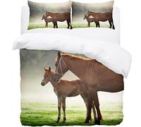 Animal Foal Fog Horse Bedding Single Duvet Set - Soft Microfibre Duvet Cover with Pillow cases - Bedding Quilt Cover Set