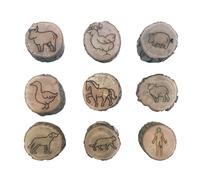 Animal Footprint Tamp Stamp-Educational Tool, Wooden Animal Spur Stamp | Nature Inspired Craft Stamp, Learning Activity For, Forest Animal Prints,