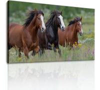 Animal Galloping Horses Canvas Wall Art Painting, Multicoloured Pastoral Field Canvas Pictures Wall Art for Bedroom Living Room Kitchen Office, Home Wall Decor Poster, 24 x 16 in Frameless