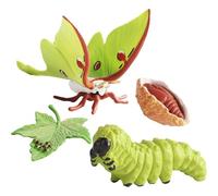 Animal Growth Cycle Toys - Evolution Learning Figurine Kit, Educational Model Set | PP Detailed Painted Science Aid Butterfly Moth Frog Turtle Ant Life Stages Display Figures Suitable