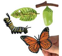 Animal Growth Cycle Toys - Evolution Learning Figurine Kit, Educational Model Set | PP Detailed Painted Science Aid Butterfly Moth Frog Turtle Ant Life Stages Display Figures Suitable