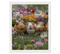 Animal Guinea Pig Diamond Art Kits Adults, 5D Diamond Painting Kits for Adults Beginners, DIY Full Drill Gem Art Crystal Rhinestone Embroidery Gifts, for Living Room Home Wall Decor 12 x 16 in w-147
