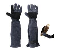 Animal Handling Gloves, Anti-Scratch Protective Gloves 60 cm - Long Equipment for Grooming Handling Bird Cattle Cattle
